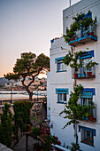 Altstadt von Peñiscola bei Sonnenuntergang, Castellon, Valencianische Gemeinschaft, Spanien