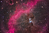 This is the bright reflection nebula complex that includes Messier 78 (the largest blue-white nebula) and NGC 2071 above it. They are set in a region of dark clouds of interstellar dust, and framed by the red-magenta arc of the emission nebula known as Barnard's Loop, aka Sharpless 2-276. The small reflection nebula at upper left on the edge of another dark cloud is van den Bergh 62. The large star cluster left of centre on the edge of the Loop is NGC 2112.