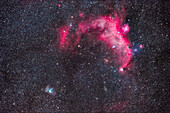 This frames two contrasting nebulas on the border of Canis Major and Monoceros. At top is the large Seagull Nebula or IC 2177, an area of mostly red hydrogen-alpha emission and is a region of star formation, though it contains some blue reflection nebulas.