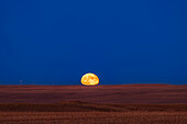 Der Mond geht einen Tag nach Vollmond auf, am 28. November 2023, über dem flachen Präriehorizont nahe der Heimat in Süd-Alberta. Dies zeigt die Abflachung und Verzerrung der Mondscheibe durch atmosphärische Brechungseffekte.