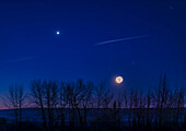 This is the waning crescent Moon (lit by Earthshine) and Venus (as a "morning star") rising together on the morning of January 8, 2024 in the brightening dawn twilight. The Moon had just occulted (hidden) the star Antares a few minutes earlier when both were low and in the trees. So both worlds were in Scoripus this morning.