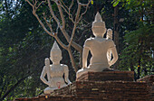 Statues at the ancient Wat Umong Suan, historic Bhuddhist temple, in the forest above Chiang Mai, Thailand, Southeast Asia, Asia