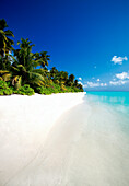 Beautiful tropical beach, The Maldives, Indian Ocean, Asia