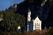 Schloss Neuschwanstein, ein historistisches Schloss aus dem 19. Jahrhundert auf einem zerklüfteten Hügel im Alpenvorland, Schwaben, Südbayern, Deutschland, Europa