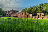 Furness Abbey, Barrow In Furness, Cumbria, England, United Kingdom, Europe