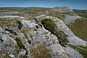 Smearsett Scar von Pot Scar, nahe Feizor, Yorkshire Dales National Park, Yorkshire, England, Vereinigtes Königreich, Europa