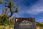 Port wine vineyards and wineries in the Douro Valley region in Pinhao, Porto, Portugal, Europe