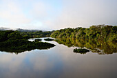 Morgennebel am Amana-Fluss, einem Nebenfluss des Amazonas, Bundesstaat Amazonas, Brasilien