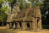 Ta Prohm Temple, Angkor, UNESCO World Heritage Site, Siem Reap, Cambodia, Indochina, Southeast Asia, Asia