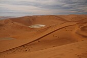 Totes Vlei, Sossusvlei, Namib-Wüste, Namibia, Afrika