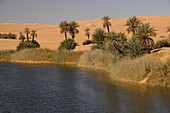 Malerische orangefarbene Dünen der Ubari-Oase, Sahara-Wüste, Libyen, Nordafrika, Afrika