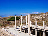 Haus des Hermes, Archäologische Stätte von Delos, UNESCO-Welterbe, Insel Delos, Kykladen, Griechische Inseln, Griechenland, Europa