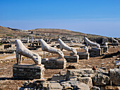 Die Terrasse der Löwen, Archäologische Stätte von Delos, UNESCO-Welterbe, Insel Delos, Kykladen, Griechische Inseln, Griechenland, Europa