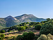 Blick auf den Berg Zas (Zeus), Insel Naxos, Kykladen, Griechische Inseln, Griechenland, Europa