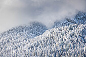 Winterzeit mit viel Schnee in den Bayerischen Alpen, Garmisch-Partenkirchen, Deutschland, Europa