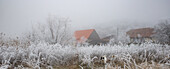 Gefrorene Szene im Winter, Rumänien, Europa