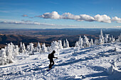 Gefrorene Winterlandschaft, Vladeasa-Gebirge, Rumänien, Europa