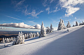 Gefrorene Winterlandschaft, Vladeasa-Gebirge, Rumänien, Europa