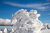 Gefrorene Winterlandschaft, Vladeasa-Gebirge, Rumänien, Europa