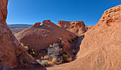 A rock island with a little rock window on its top called the Tea Pot Arch at Ferry Swale in the Glen Canyon Recreation Area near Page, Arizona, United States of America, North America