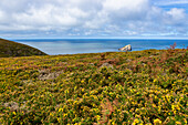 Cap Frehel, Plevenon, Cotes-d'Armor, Bretagne, Frankreich, Europa