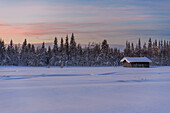 Isolierte Holzhütte mit dichtem Schnee in der arktischen Umgebung in der Abenddämmerung im Winter, Tjautjas, Gemeinde Gallivare, Bezirk Norrbotten, Schwedisch-Lappland, Schweden, Skandinavien, Europa