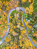 Ein Auto, das an einem Herbsttag die Bergstraße entlang fährt, Nationalpark Toskanisch-emilianischer Apennin, Toskana, Italien, Europa