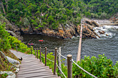 View of suspension bridge at Storms River, Tsitsikamma National Park, Garden Route National Park, South Africa, Africa