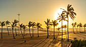 Blick auf Palmen, Promenade und den Indischen Ozean im Hintergrund bei Sonnenaufgang, Durban, Provinz KwaZulu-Natal, Südafrika, Afrika