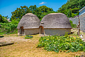 View of thatched roof houses in traditional Zulu village, Veyane Cultural Village, Khula, Khula Village, KwaZulu-Natal Province, South Africa, Africa