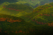 Blick auf Schichten der Landschaft im Blyde River Canyon, Provinz Mpumalanga, Südafrika, Afrika