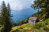 Rural alpine life with a cabin above a vast mountain valley, Italian Alps, Italy, Europe