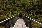 Hängebrücke in einem Dschungel, Neuseeland, Pazifik