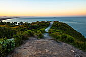 Path on the slope of Mount Maunganui, at sunset, Tauranga, Bay of Plenty, North Island, New Zealand, Pacific