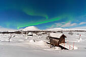 Grünes Nordlicht (Aurora Borealis) über typischen Holzhütten in der schneebedeckten Landschaft, beleuchtet vom Vollmond, Kilpisjarvi, Gemeinde Enontekio, Finnisch-Lappland, Finnland, Skandinavien, Europa