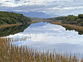 Dune Lake near Haast, West Coast, South Island, New Zealand, Pacific