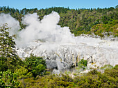 Geysir und Dampfschlote bei Te Puia, Gisborne District, Nordinsel, Neuseeland, Pazifik