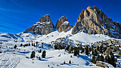 Langkofel (Sassolungo), Südtirol, Dolomiten, Italien, Europa