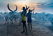 Junge Jungen mit Kalaschnikow posieren mit Kühen, Mundari-Stamm, Südsudan, Afrika