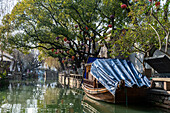 Little boat on a channel in Zhouzhuang water town, Jiangsu, China, Asia