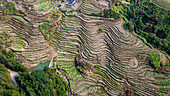 Aerial of rice terraces around Tianluokeng, UNESCO World Heritage Site, Fujian Tulou, rural dwelling of the Hakka, Fujian, China, Asia