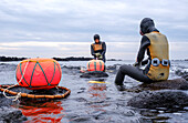 Haenyeo women, famous for diving into their eighties and holding their breath for up to two minutes, diving for conch, octopus, seaweed, and other seafood, Jeju, South Korea, Asia