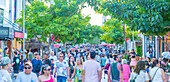 View of busy 5th Avenue, Playa del Carmen, Quintana Roo, Caribbean Coast, Yucatan Peninsula, Riviera Maya, Mexico, North America