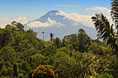 Mount Soputan, ein aktiver 1785 m hoher Stratovulkan, der pyroklastische Ströme und Aschewolken erzeugen kann, SW von Tomohon, Gunung Soputan, Tomohon, Nordsulawesi, Indonesien, Südostasien, Asien