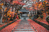 Autumn colors at Bishamon-do Buddhist temple in Kyoto, Honshu, Japan, Asia