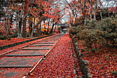 Autumn colors at Bishamon-do Buddhist temple in Kyoto, Honshu, Japan, Asia