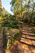 Steps on path, Wuyi Mountains, UNESCO World Heritage Site, Fujian, China, Asia