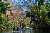 Rafting on the River of Nine Bends, Wuyi Mountains, UNESCO World Heritage Site, Fujian, China, Asia