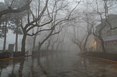 Fog, Mount Lu (Lushan), UNESCO World Heritage Site, Jiujiang, Jiangxi, China, Asia