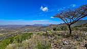 Blick über die Sheikh-Berge, Somaliland, Somalia, Afrika